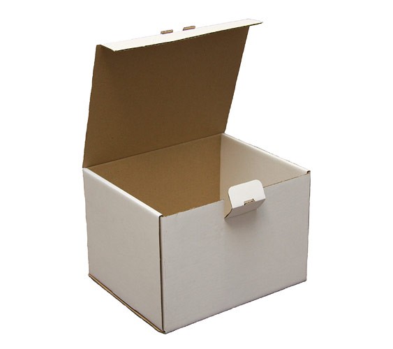 White Die Cut Box