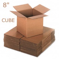 8" Cube